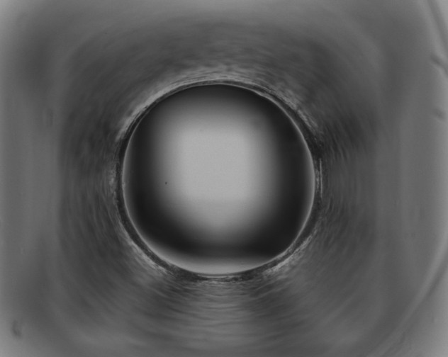 X0000092101500200709121535