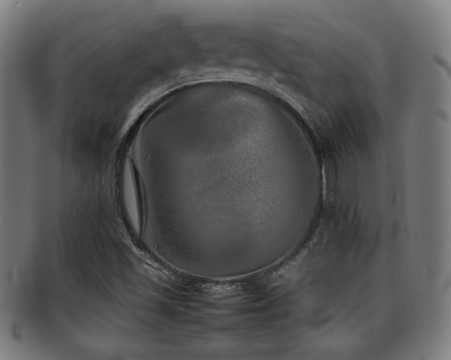 X0000092101501200709121535