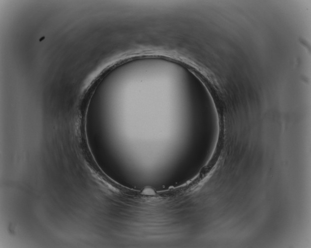 X0000092101502200709121535