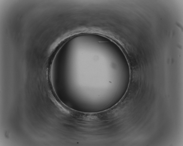X0000092101503200709121535