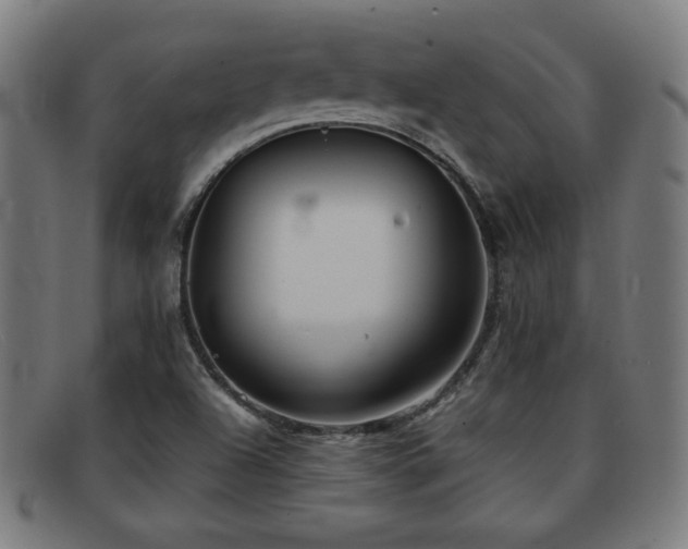 X0000092101504200709121535