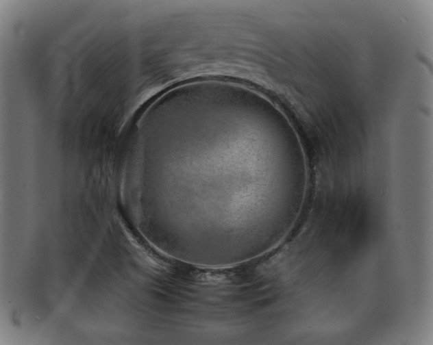 X0000092101505200709121535