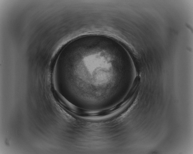 X0000092101506200709121535