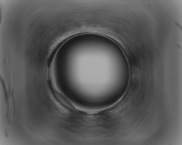 X0000092101507200709121535