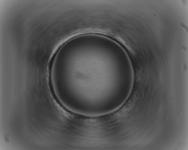 X0000092101508200709121535
