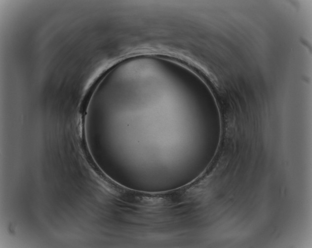 X0000092101509200709121535