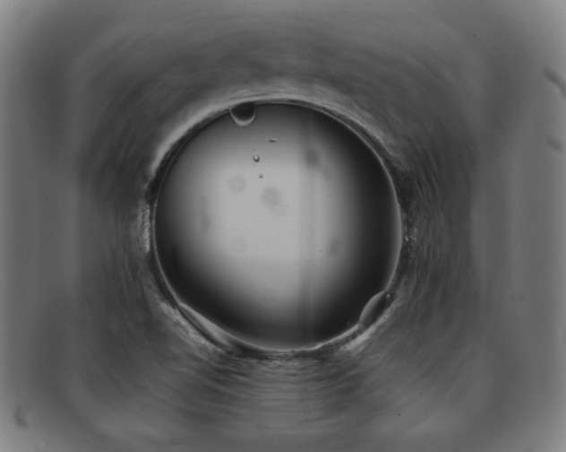 X0000092101510200709121535