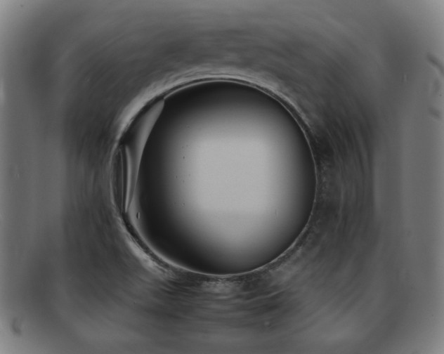 X0000092101511200709121535