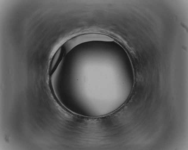 X0000092101512200709121535