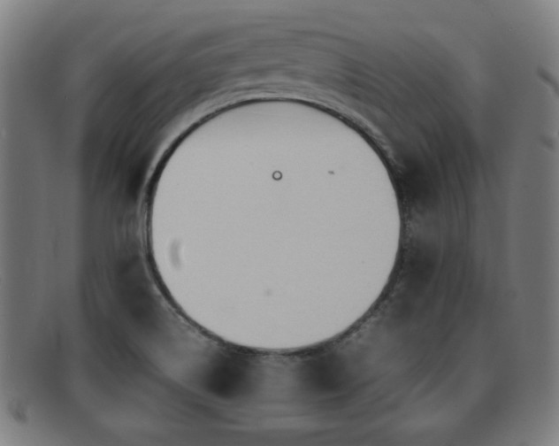 X0000092101514200709121535