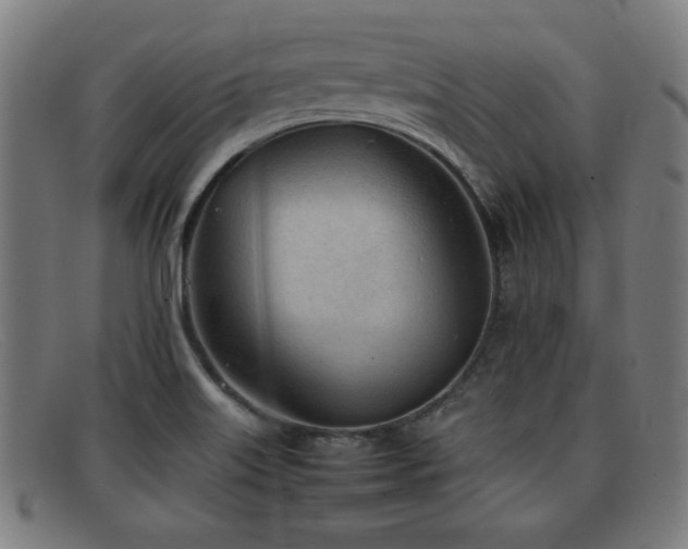 X0000092101515200709121535