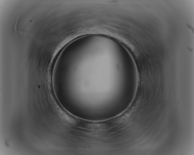 X0000092101517200709121535