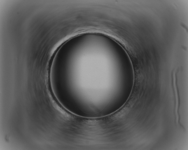 X0000092101518200709121535