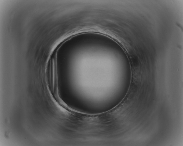 X0000092101519200709121535