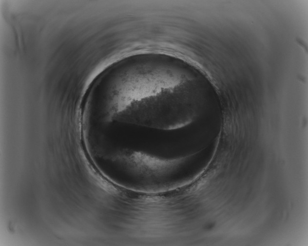 X0000092101522200709121535