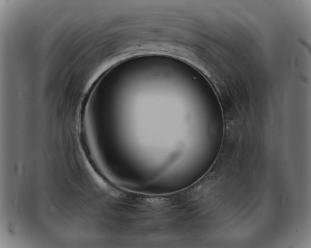 X0000092101523200709121535