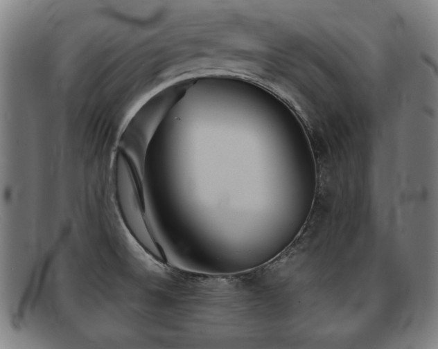 X0000092101524200709121535