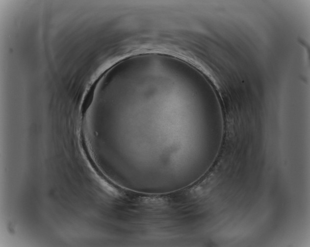 X0000092101525200709121535