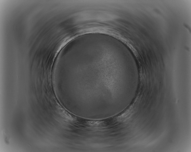 X0000092101529200709121535
