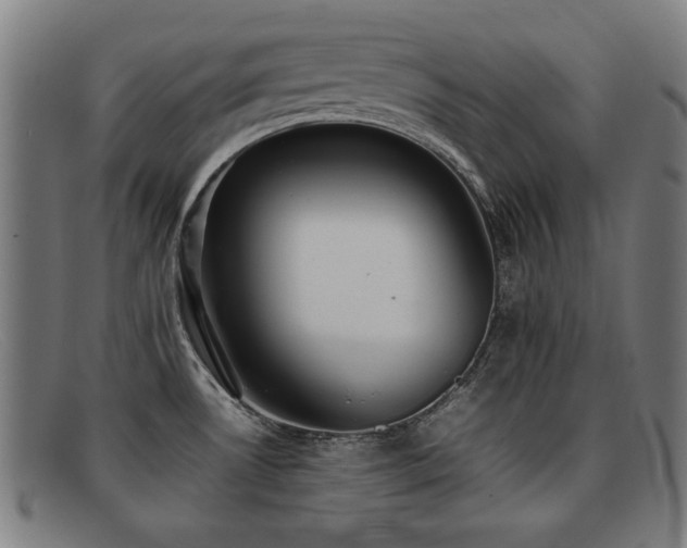 X0000092101530200709121535