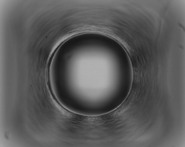 X0000092101531200709121535