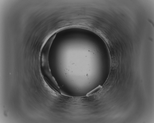 X0000092101532200709121535