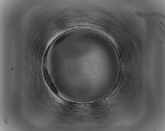 X0000092101533200709121535