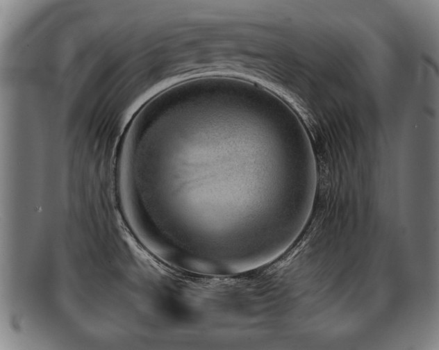 X0000092101534200709121535