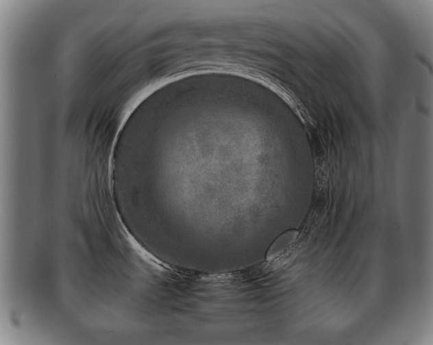 X0000092101535200709121535