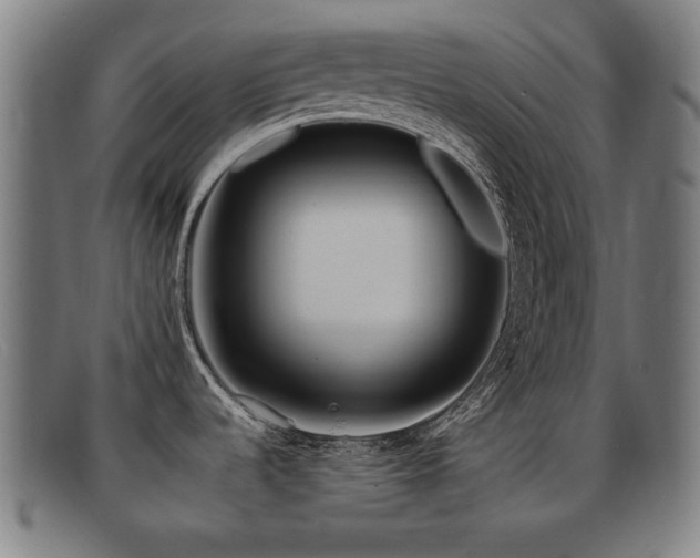 X0000092101536200709121535