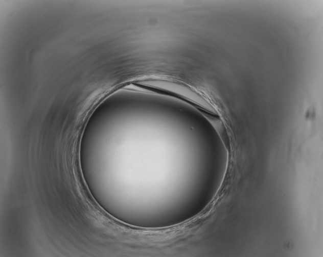 X0000092100001200709191316