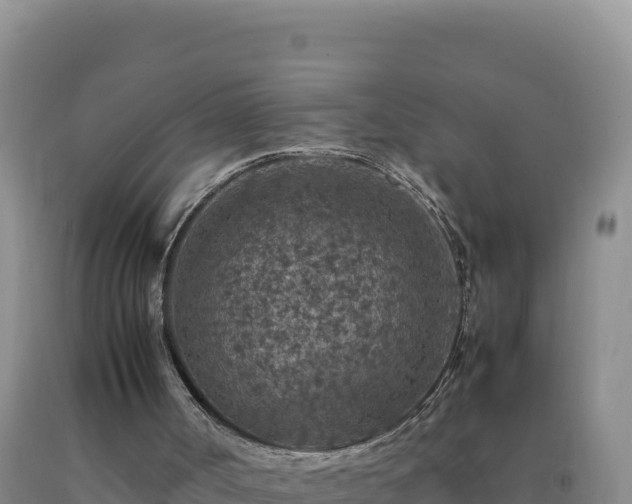 X0000092100002200709191316