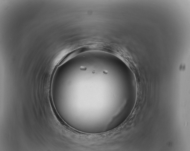 X0000092100003200709191316