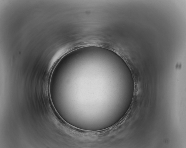 X0000092100004200709191316