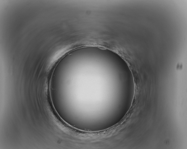 X0000092100005200709191316