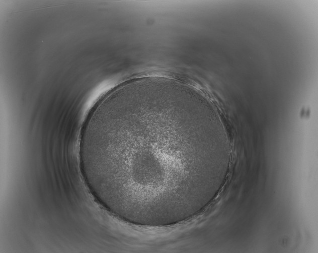 X0000092100006200709191316