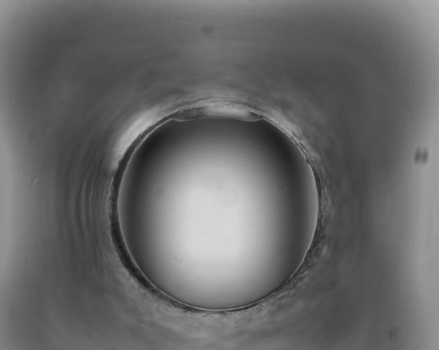 X0000092100007200709191316