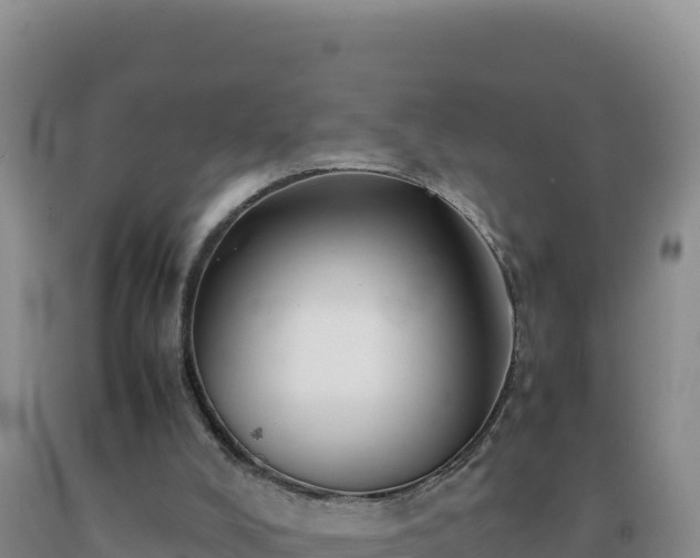 X0000092100008200709191316