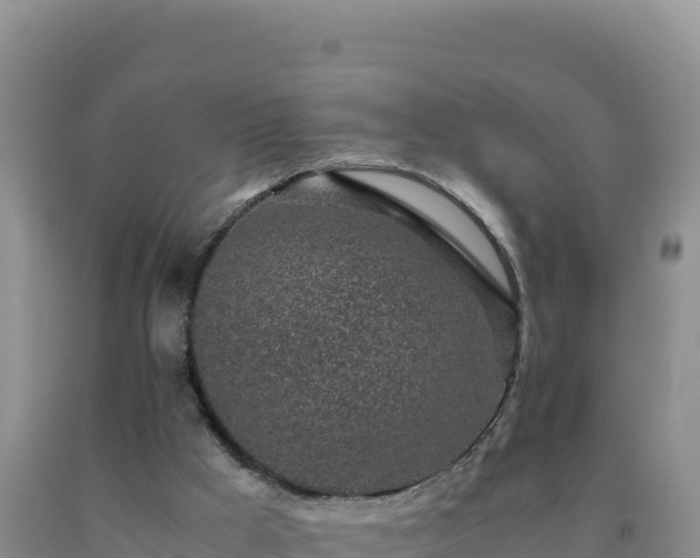 X0000092100009200709191316