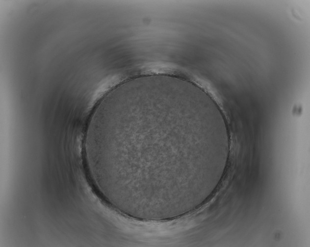 X0000092100010200709191316