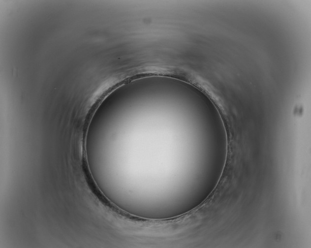 X0000092100011200709191316