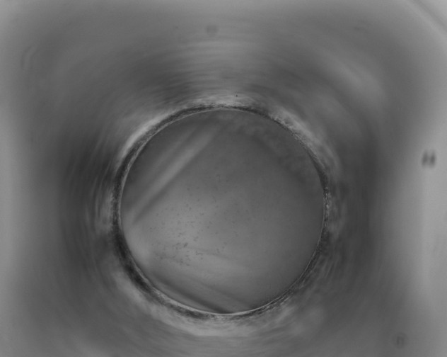 X0000092100012200709191316