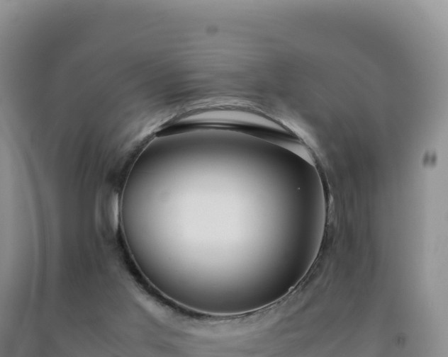 X0000092100013200709191316