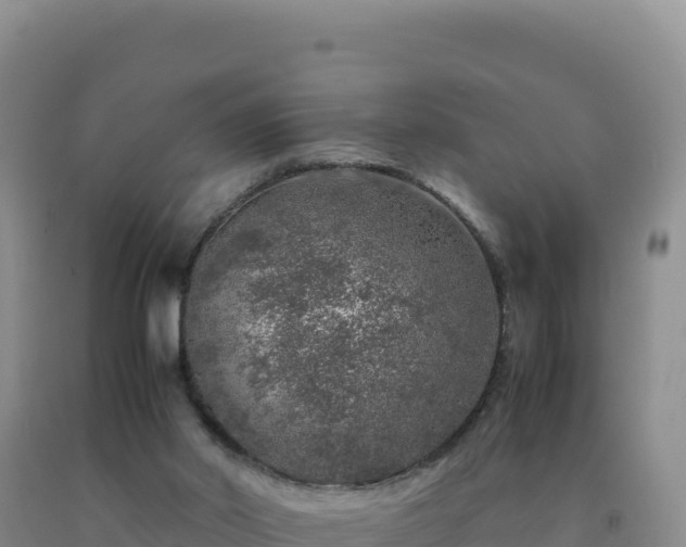 X0000092100014200709191316