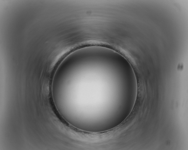 X0000092100015200709191316