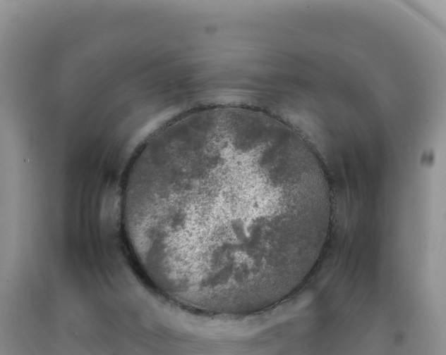 X0000092100016200709191316