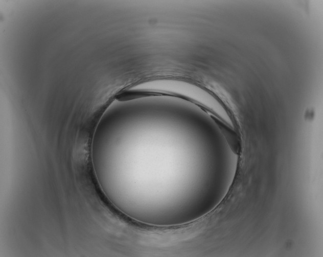 X0000092100017200709191316