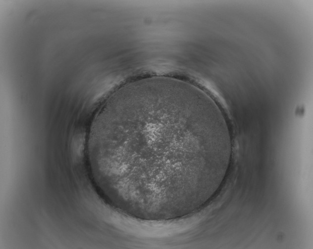 X0000092100018200709191316