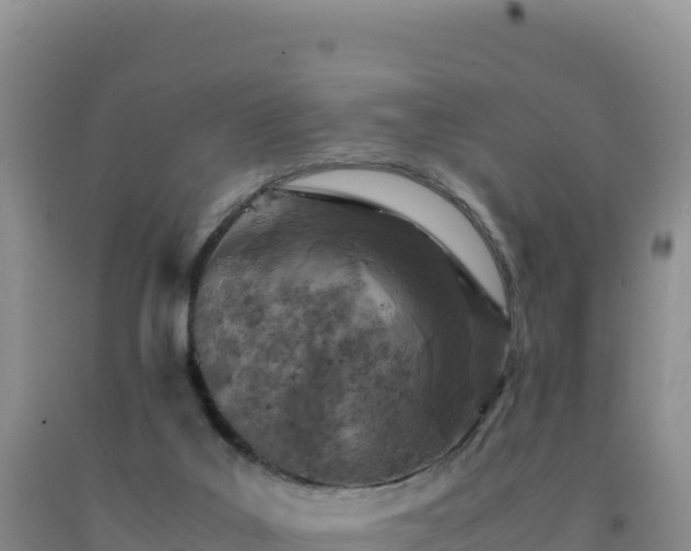 X0000092100019200709191316