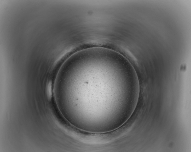 X0000092100020200709191316